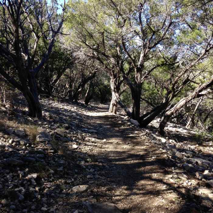 The mid-section of Upper Wagon Trail is smoother than others. Near Upper Wagon Trail