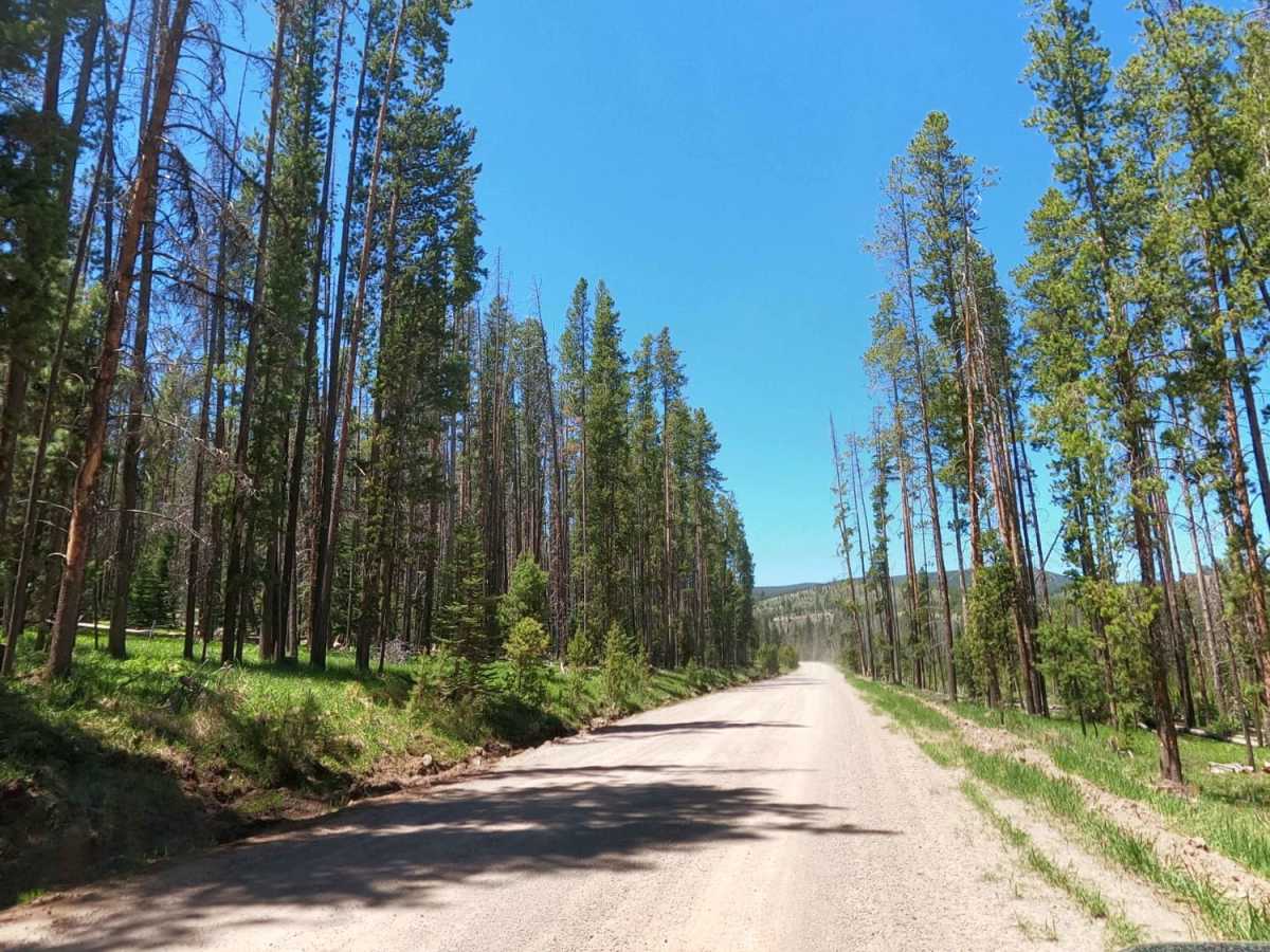 Skalkaho Highway / MT 38 photo 5
