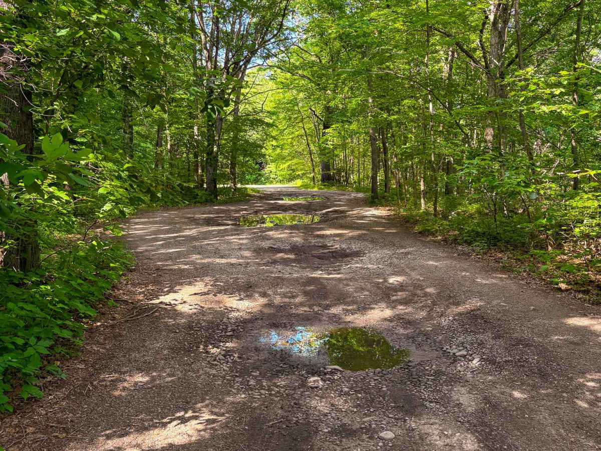 Cold Springs Road photo 4