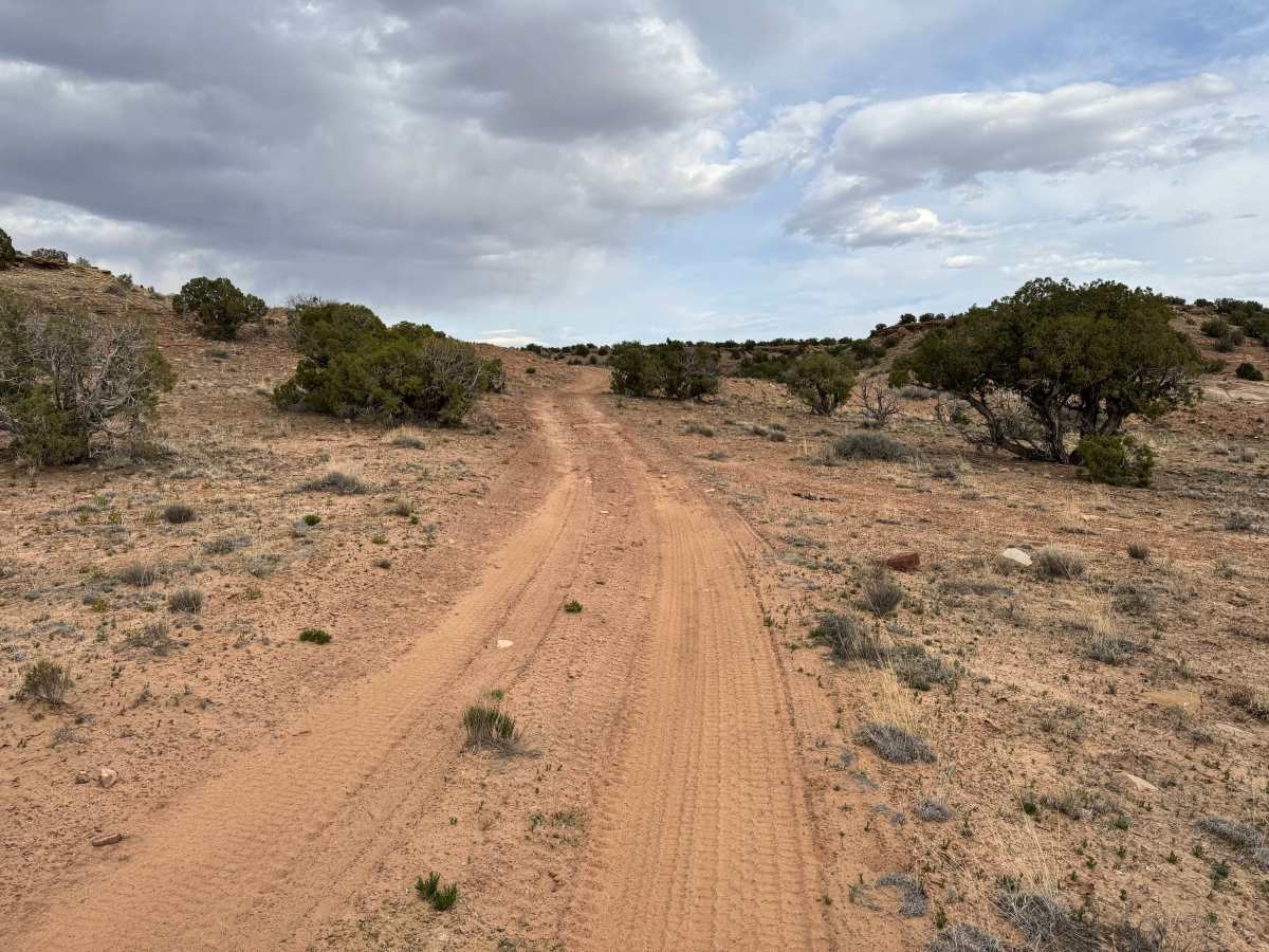 BLM 625 photo 3
