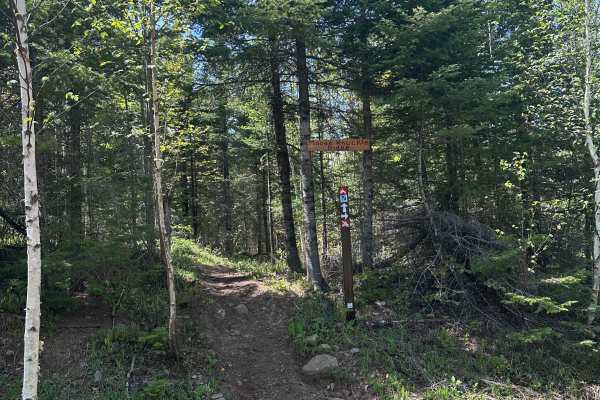 Moose Knuckle Ridge (M25 Section 3)