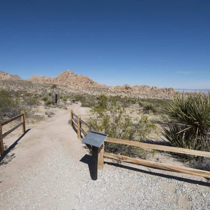 Near Indian Cove Nature Trail