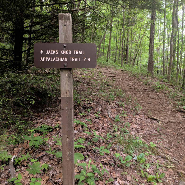 Near Brasstown Bald via Appalachian Trail