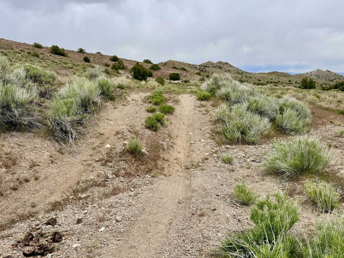 Parrotte Springs Trail - FS 44505 photo 3