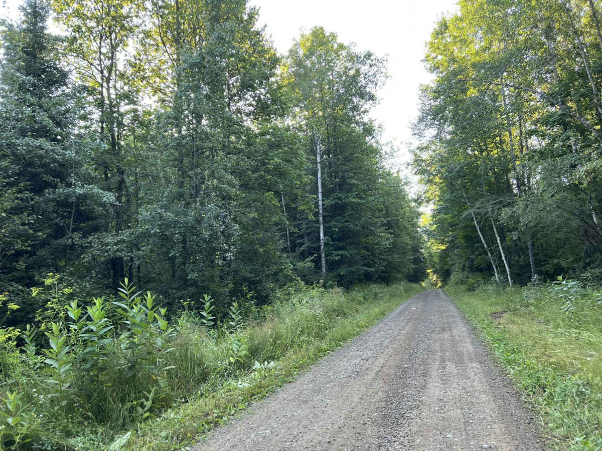 Tie Mill Road - FS 2402 photo 2