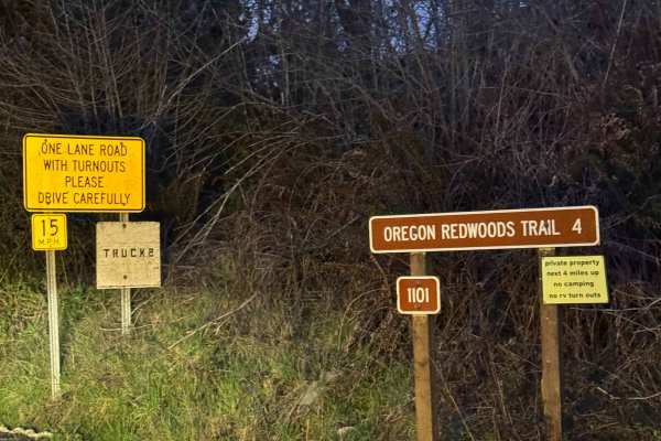 Oregon Redwoods Trail