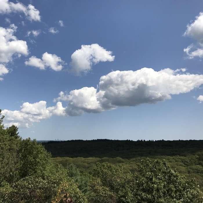 Distant views of the Boston skyline with the Noanet Woodlands in the foreground Near Noanet Peak - Powissett Peak