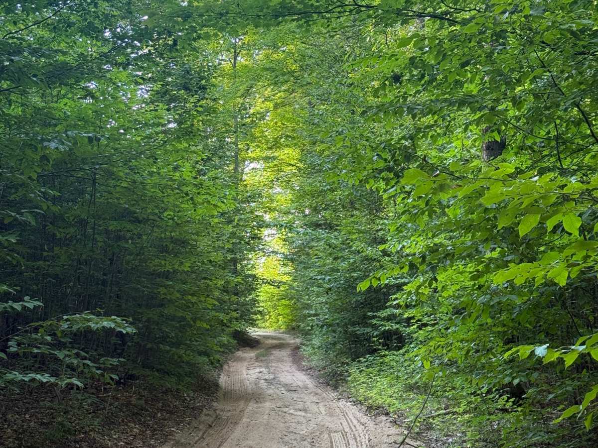 Pine Ridge Trail photo 4