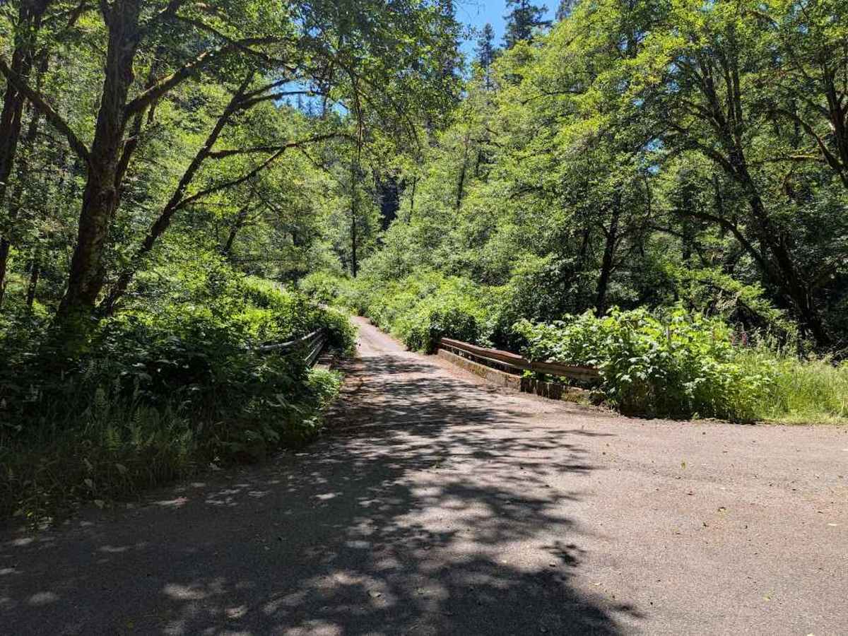 FS 5860 trail photo