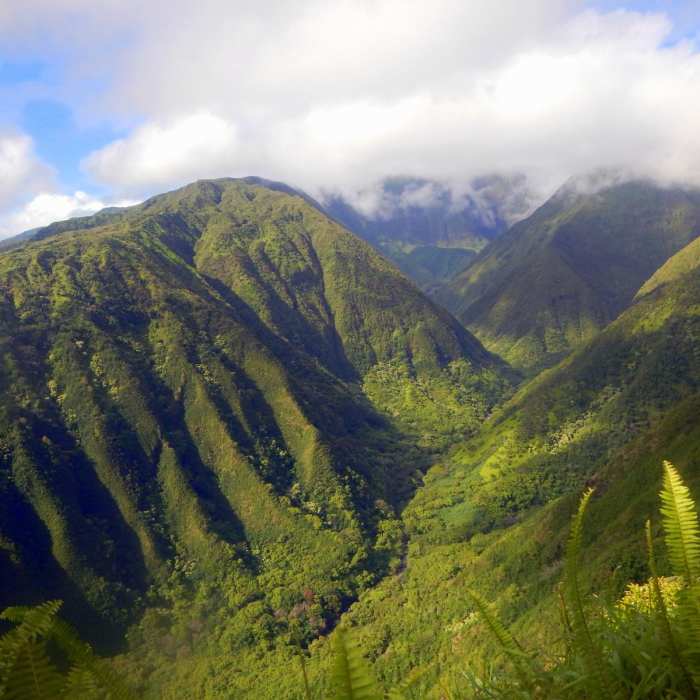 Near Waihe'e Ridge Near Waihe'e Ridge