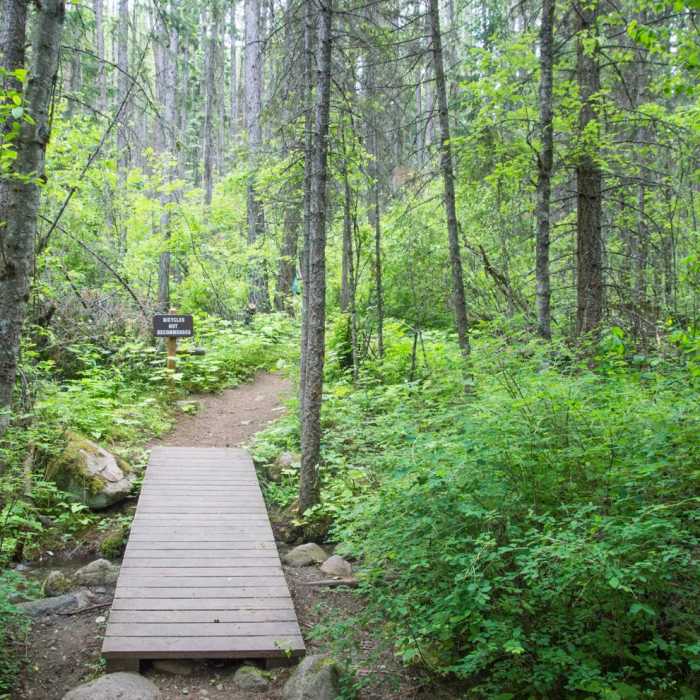 Near Highpoint Trail