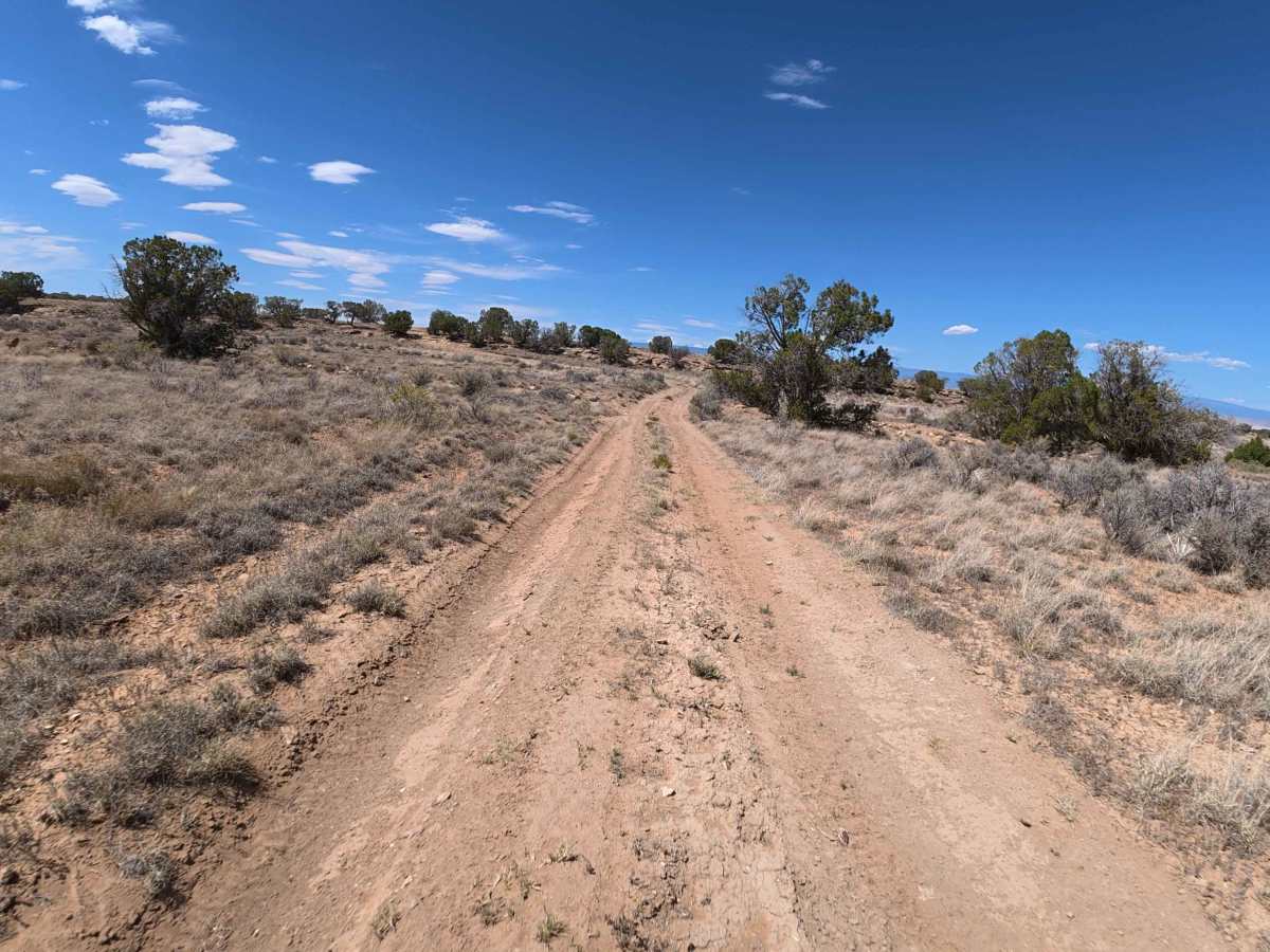 Coal Bank Loop photo 4
