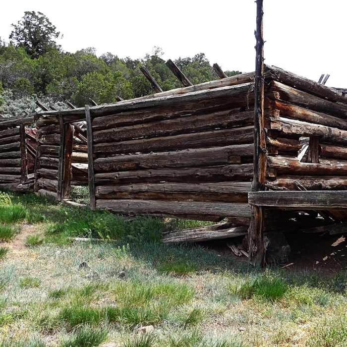 Abandoned ranch building along the Fisher Creek Trail. Near Fisher Creek Trail