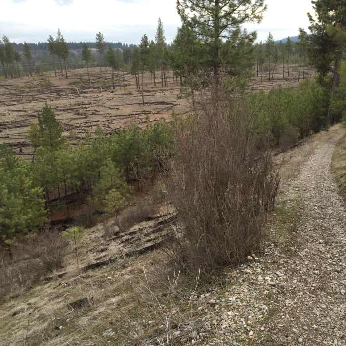 Near Spokane Centennial Trail: Centennial Park Bathrooms to Wilbur Trailhead
