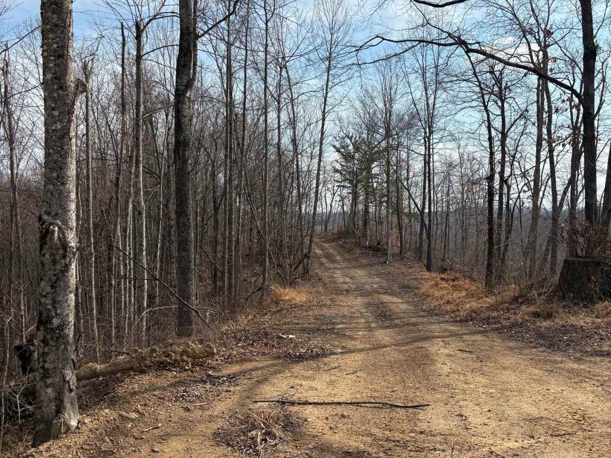Trail 5 photo 3