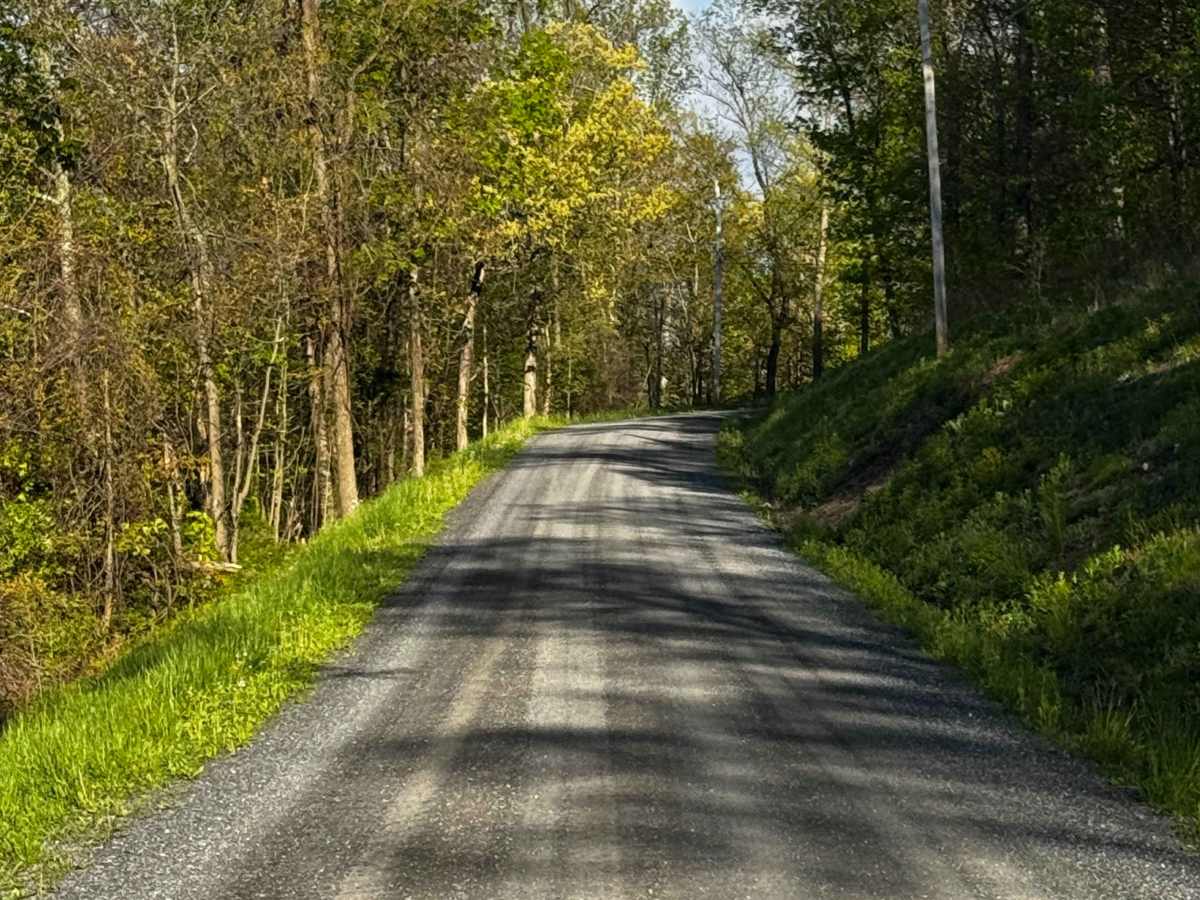 Devils Elbow Road photo 3