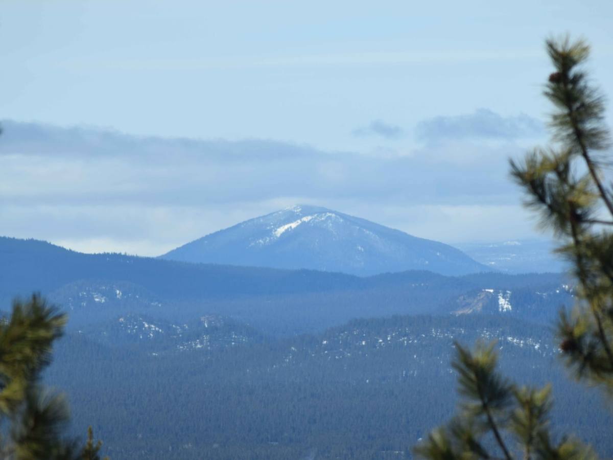 Lava Cast Forest Trail trail photo