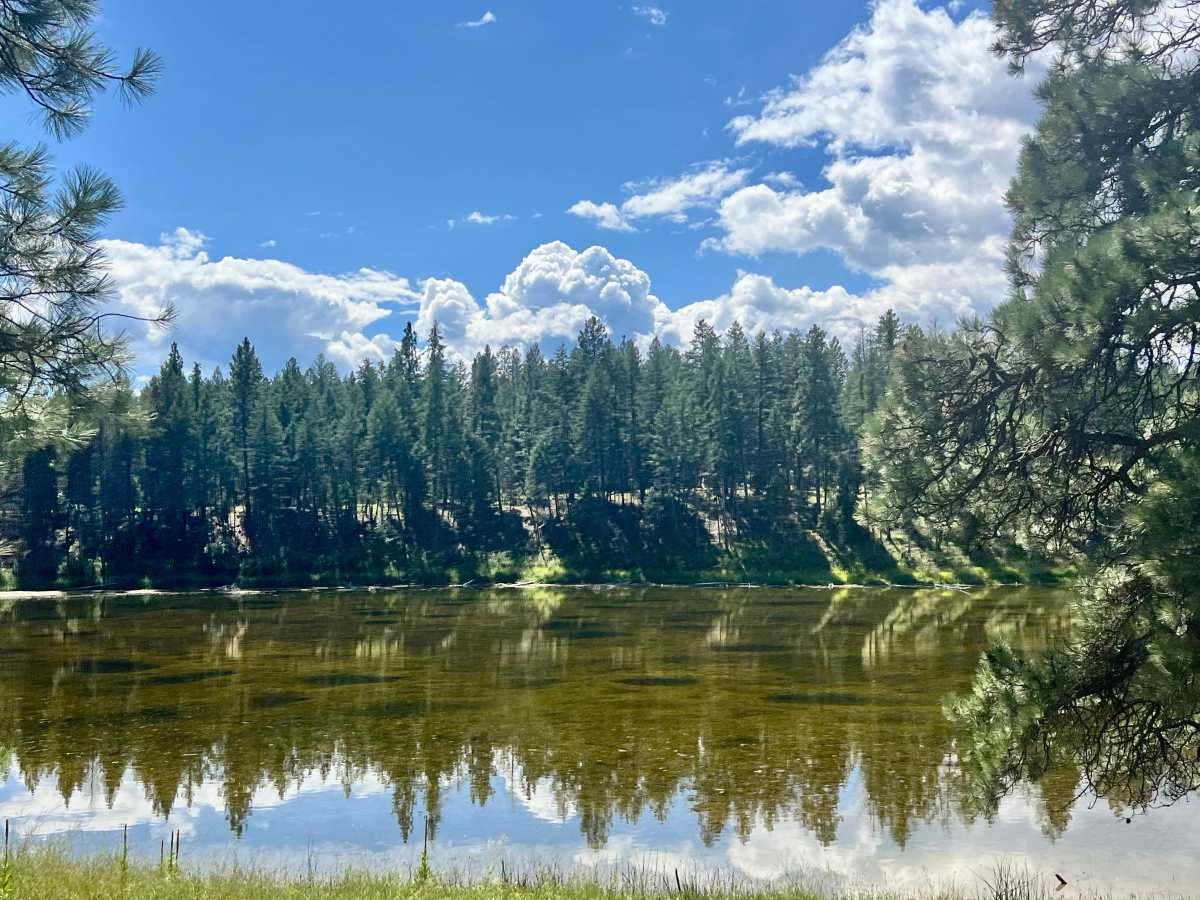 Mud Lake Loop photo 3
