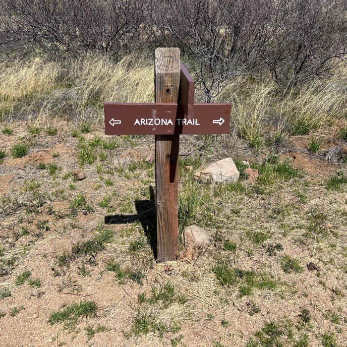 Near Oracle State Park Loop