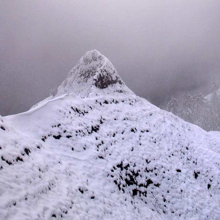 Near Munra Point Trail