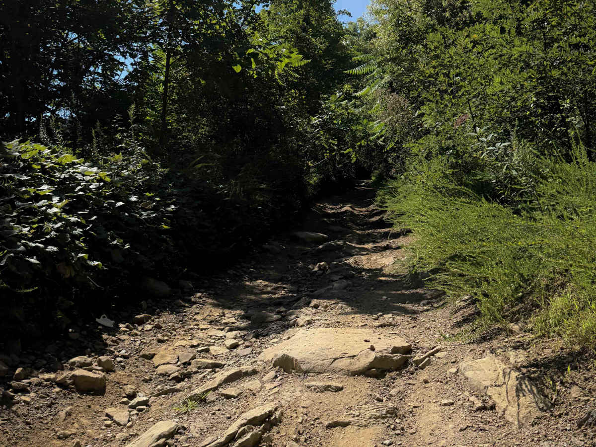 Top of the World Trail 30  trail photo