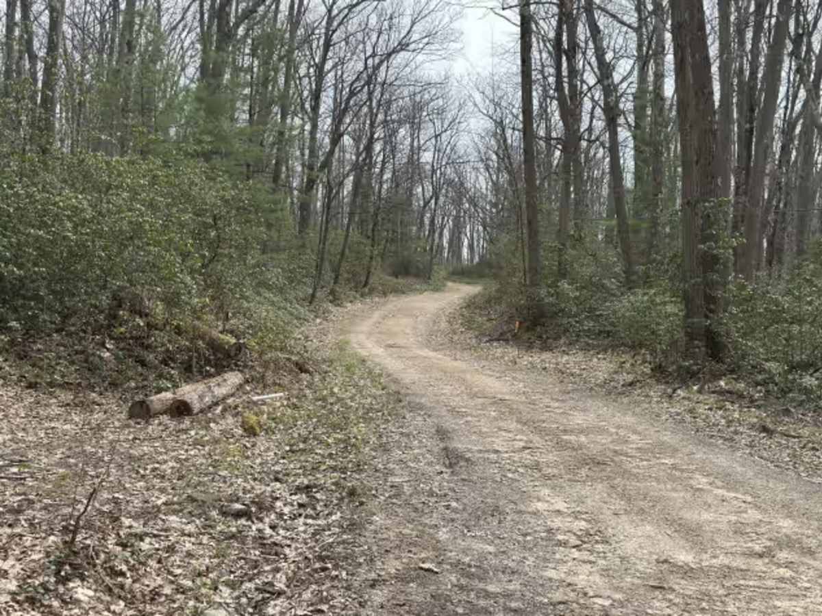 Hemlock Trail - FS 327 photo 3