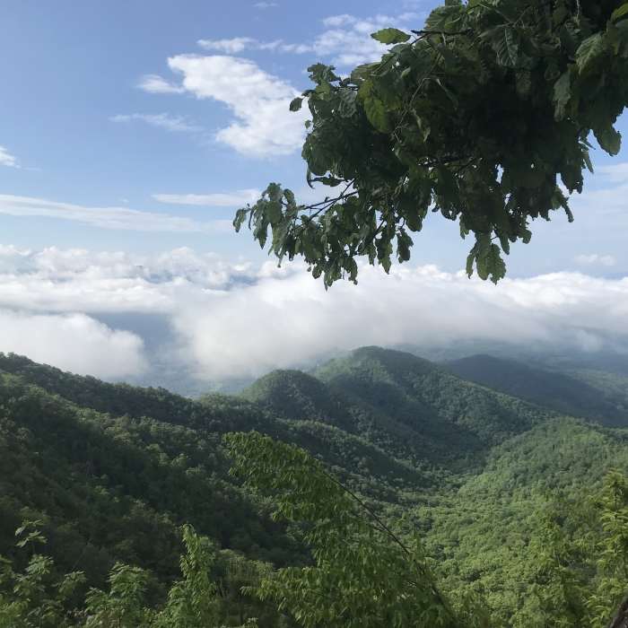 Lonesome Pine Overlook - quick short side trail from Noland Divide. Looking towards Bryson City. This would be a good day hike if staying in BC. Near Noland Divide Trail