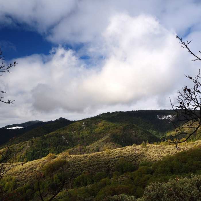 Near Knobcone Pine Trail