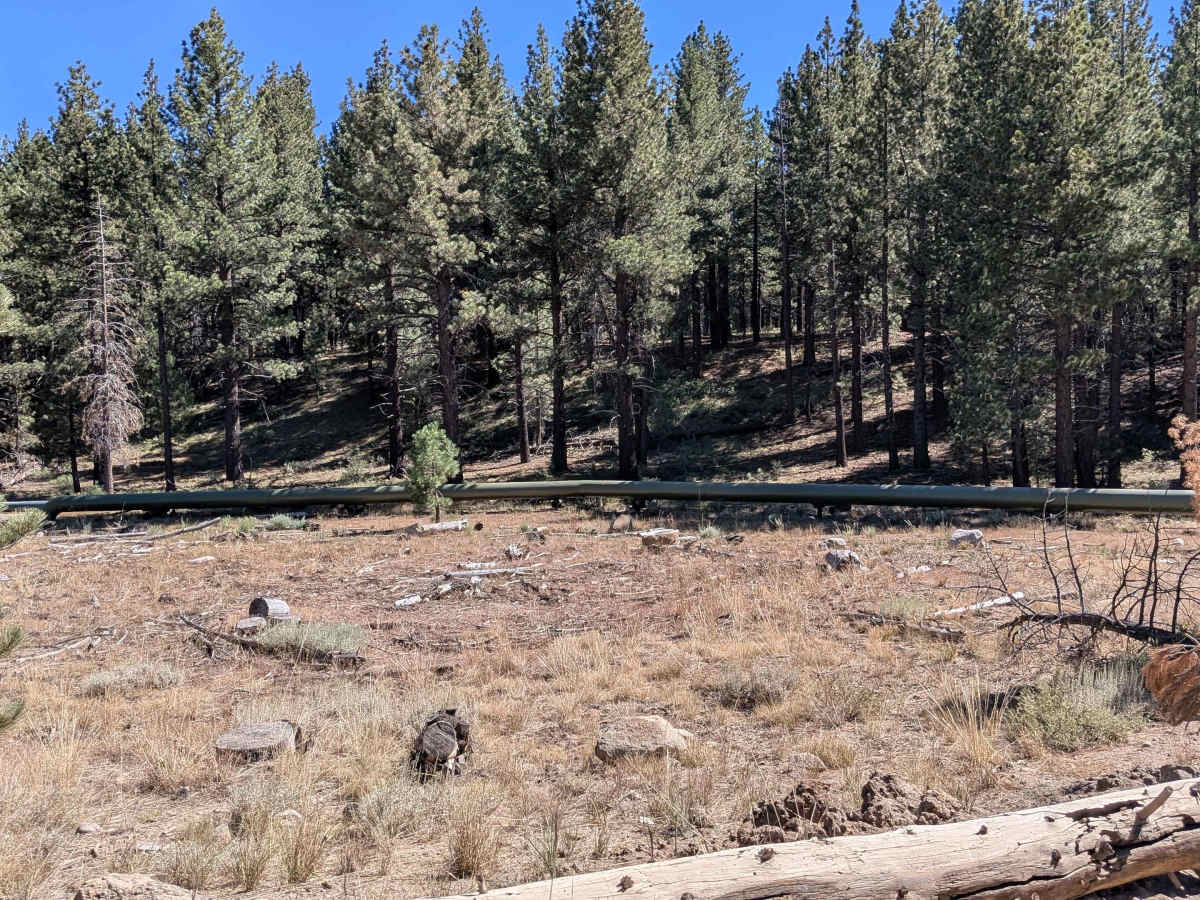 Mammoth Knolls Loop FS 3S123 photo 5