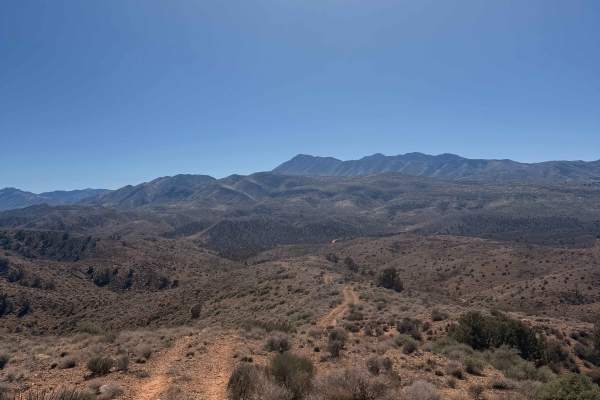 Ridgeline Romp