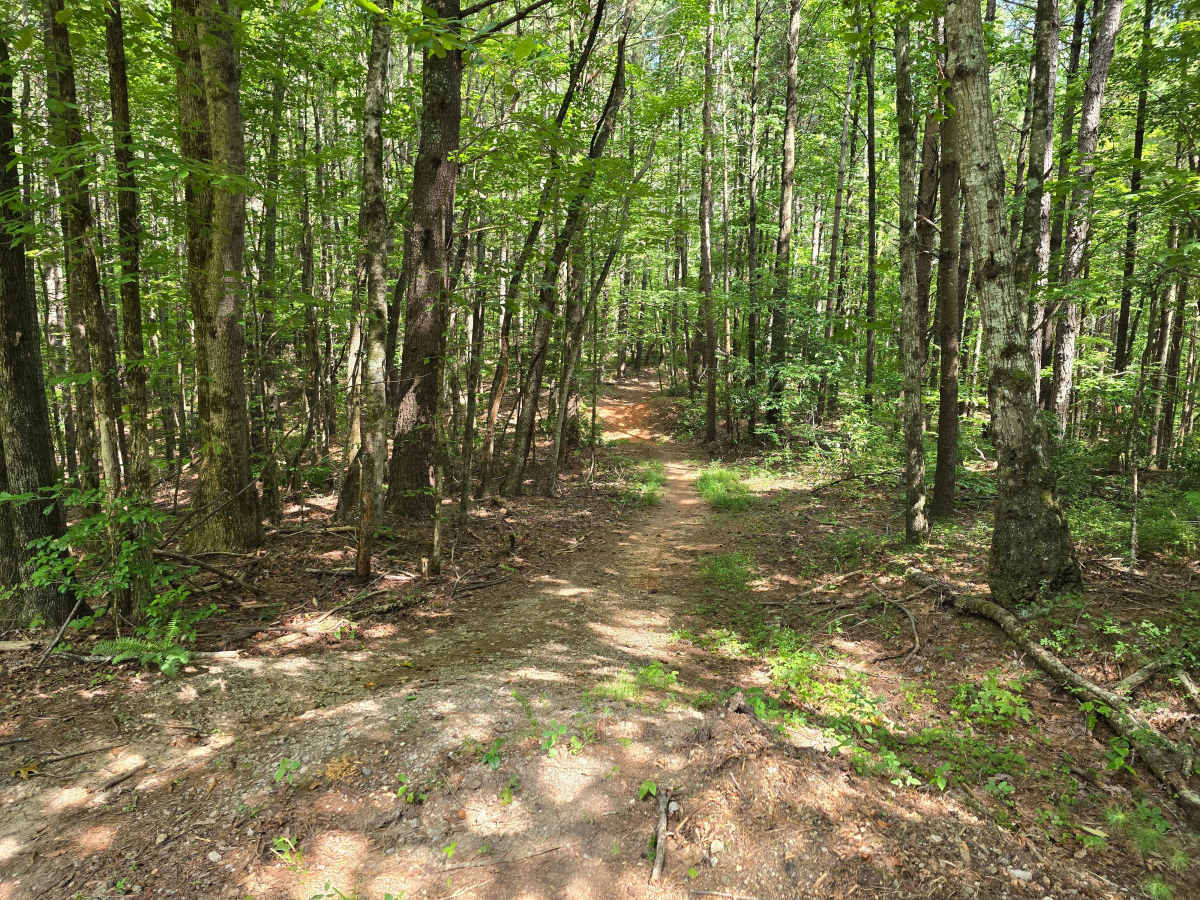 Piney Knob - FS 778 photo 2