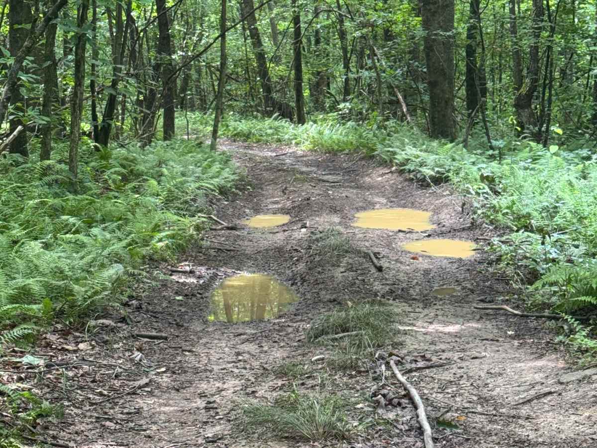 Trail 70 photo 4