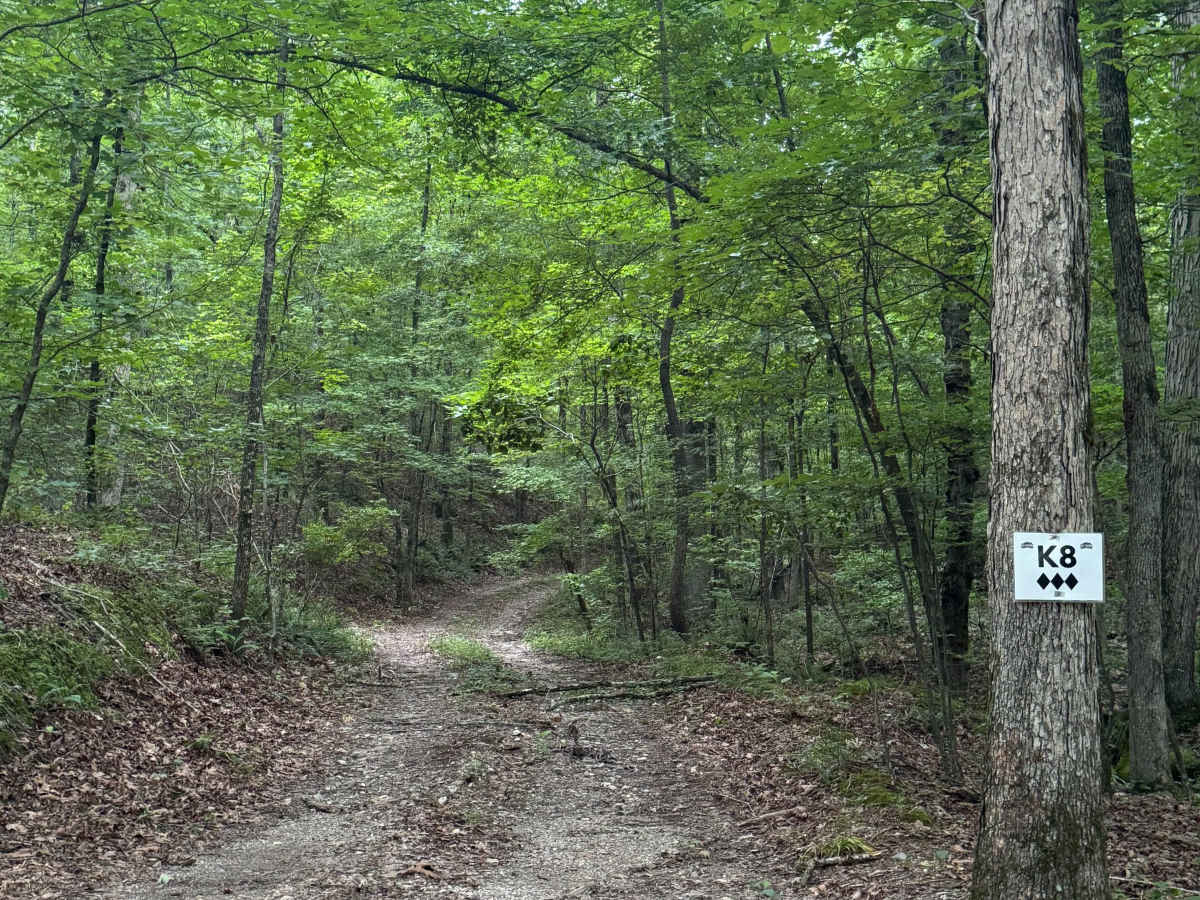 K8 trail photo