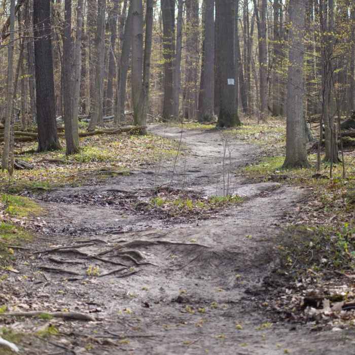 Near Chimney Bluffs Loop