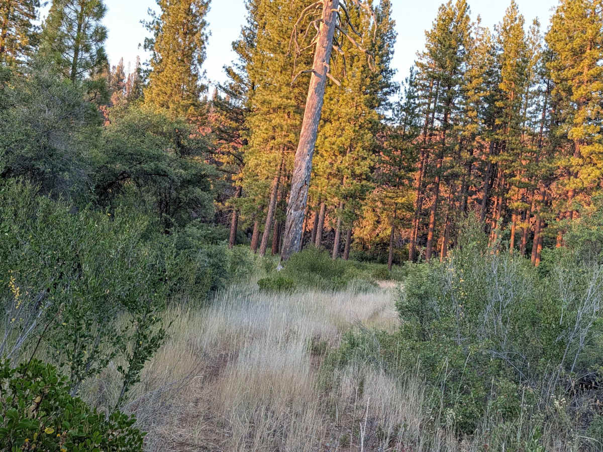 Stud Hill South - FS 42N26 photo 5