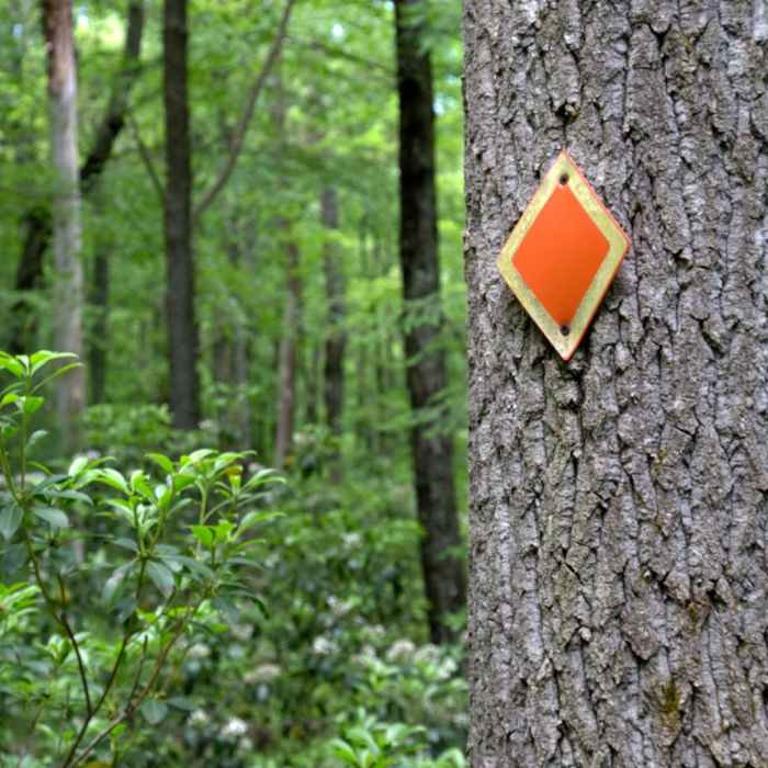 Near Stone Trail and Boundary Trail Loop Near Stone Trail and Boundary Trail Loop