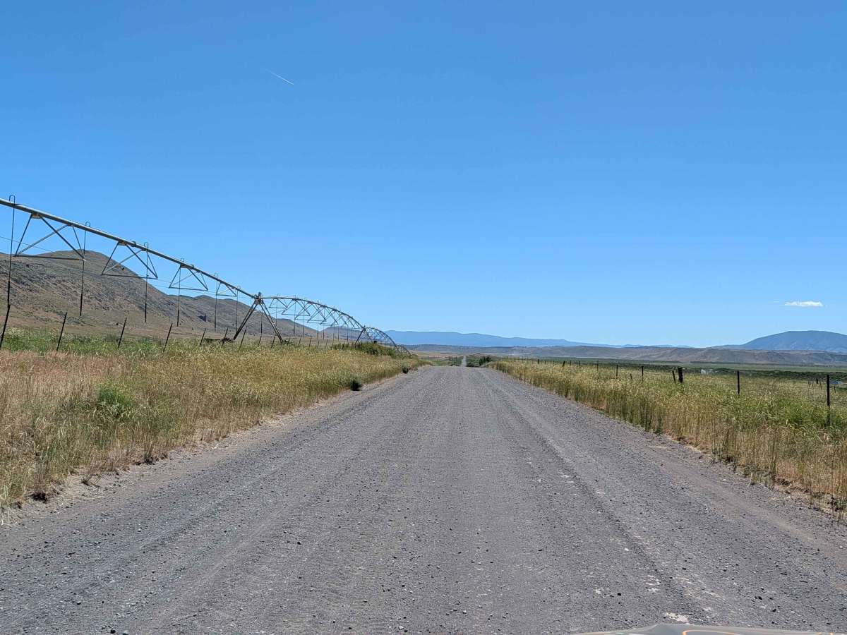 Lower Klamath Road photo 5
