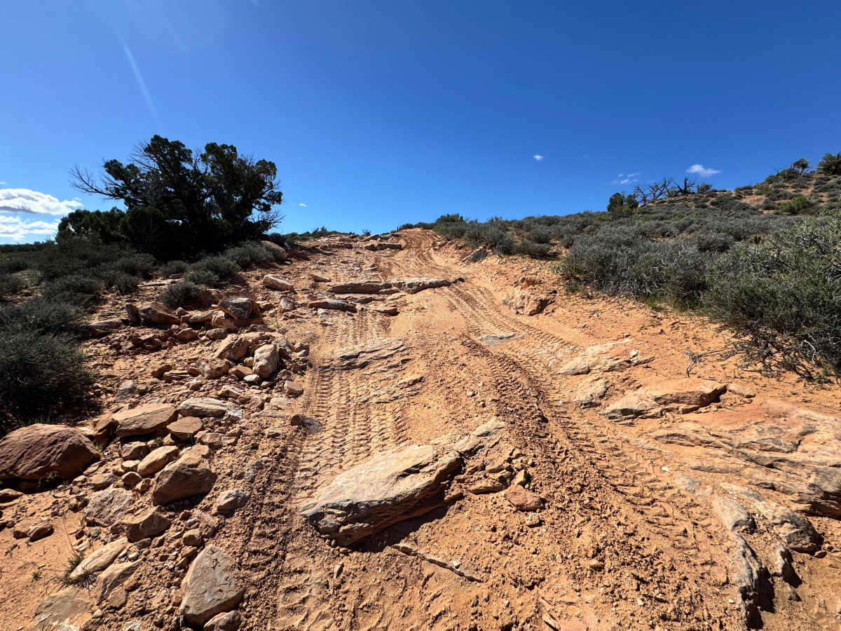 Yellow Jacket Canyon Overlook photo 5