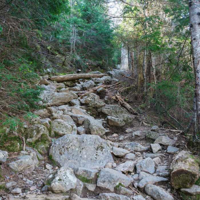 Near Lakes of the Clouds Hut + Mount Washington