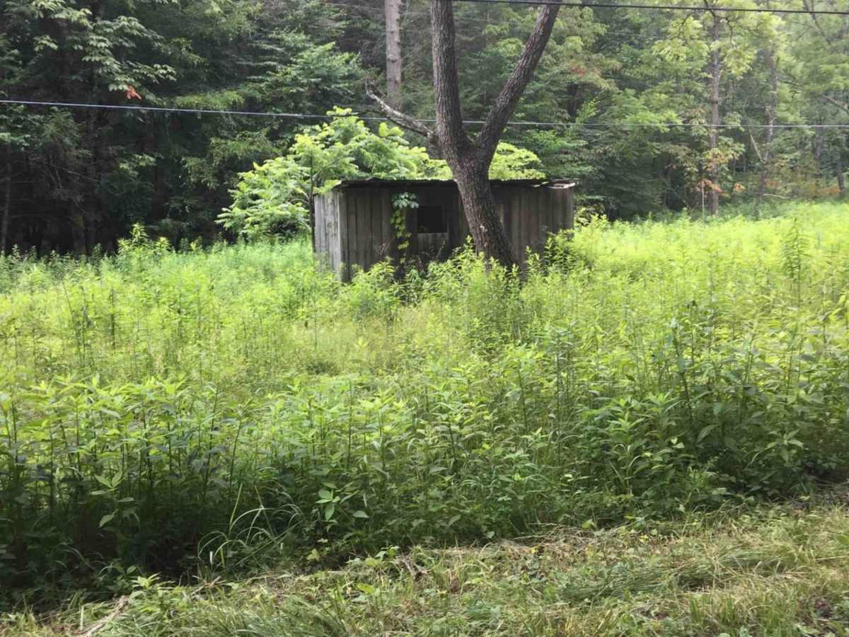 Trans American Trail WV photo 6