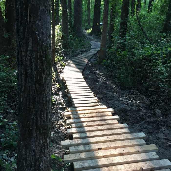 Near Elvis Trail