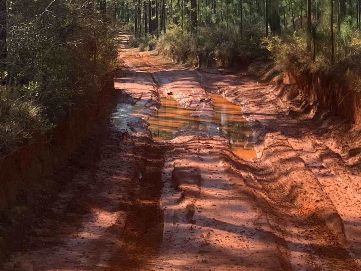 Blue Trail W23 photo 5
