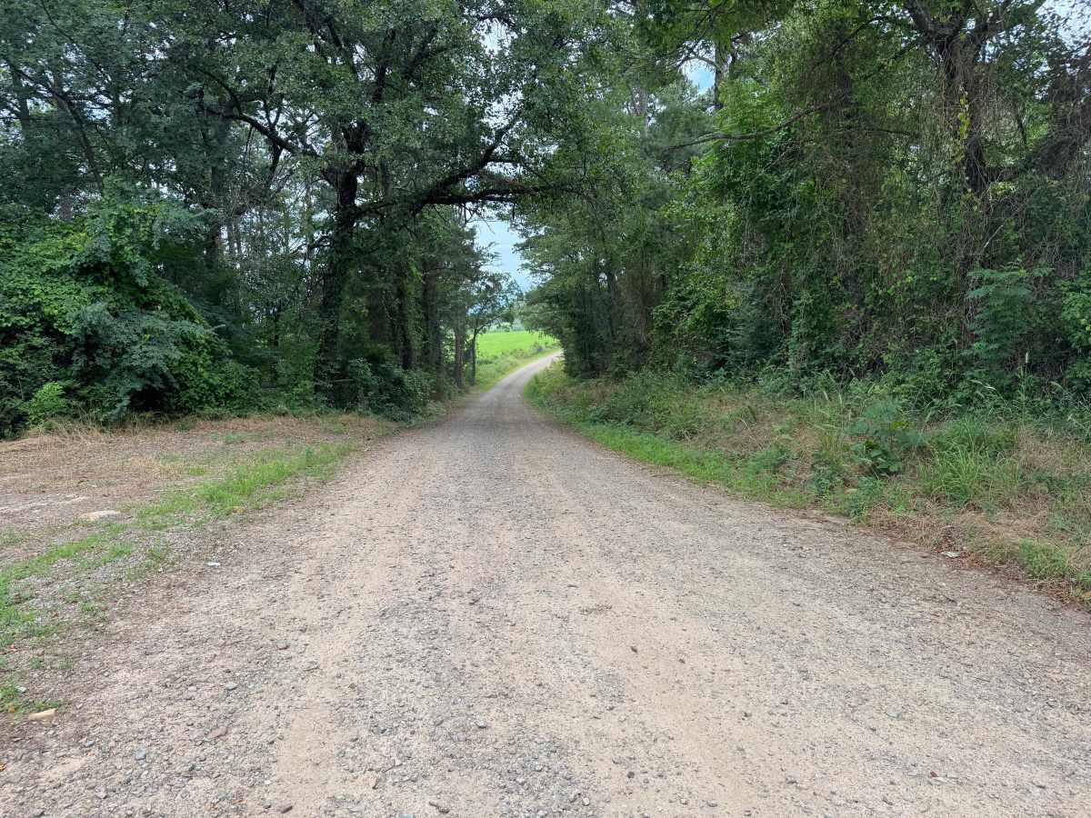 County Road 3491 photo 5