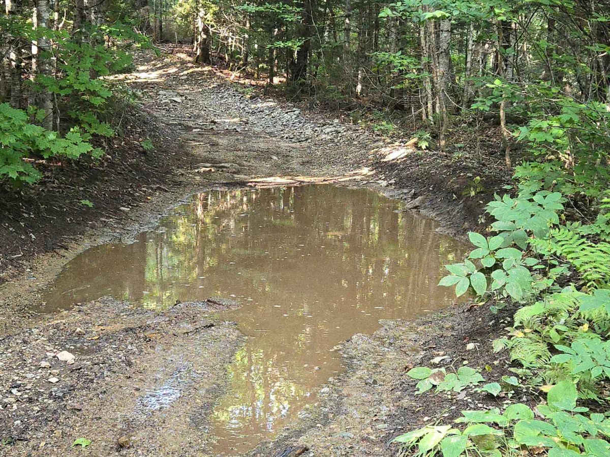 Two Lakes photo 3