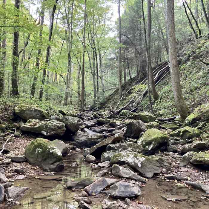 Near Debord + Emory Gap Falls Near Debord + Emory Gap Falls