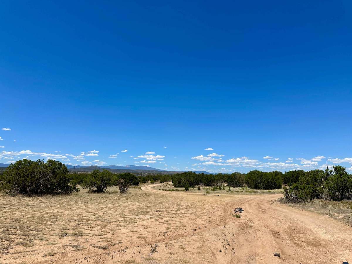 Dispersed Camping Loop photo 6