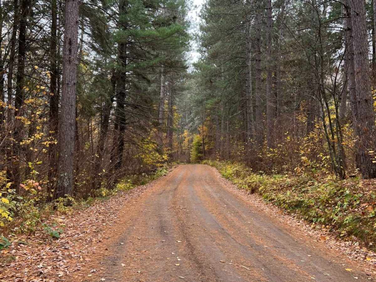 East Steamboat Lake Road photo 3