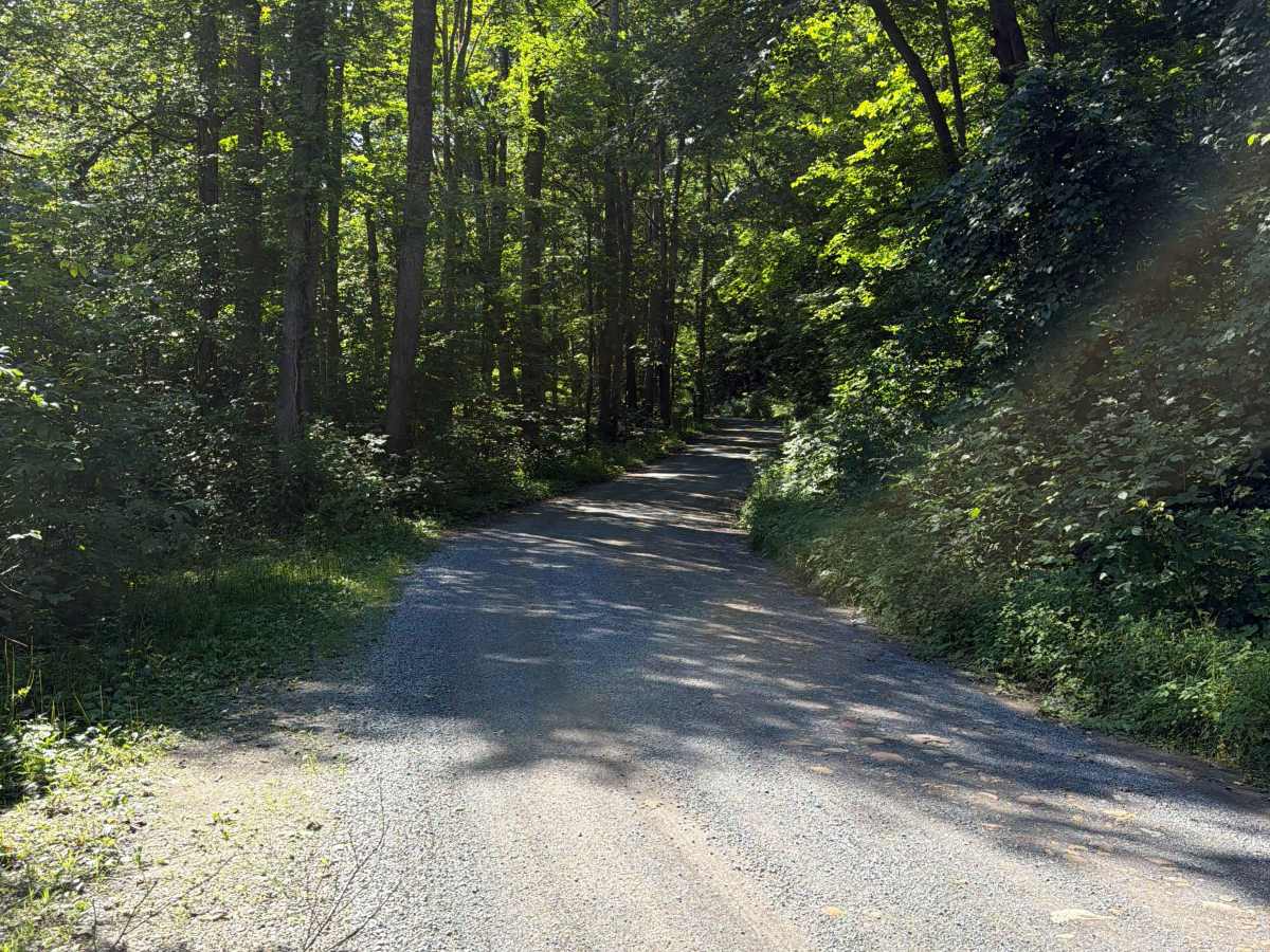 Cranberry River Road - CFR 76 photo 2