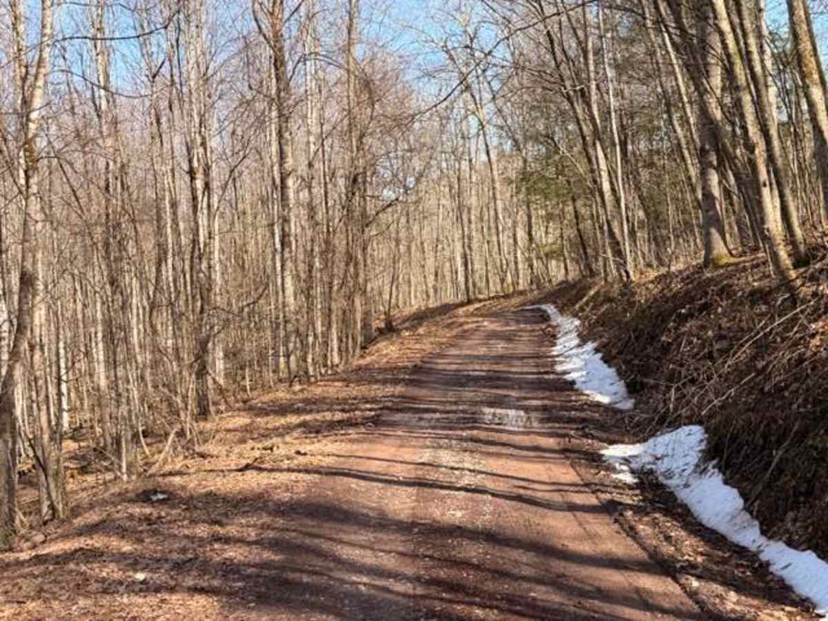 Sugar Camp  photo 4
