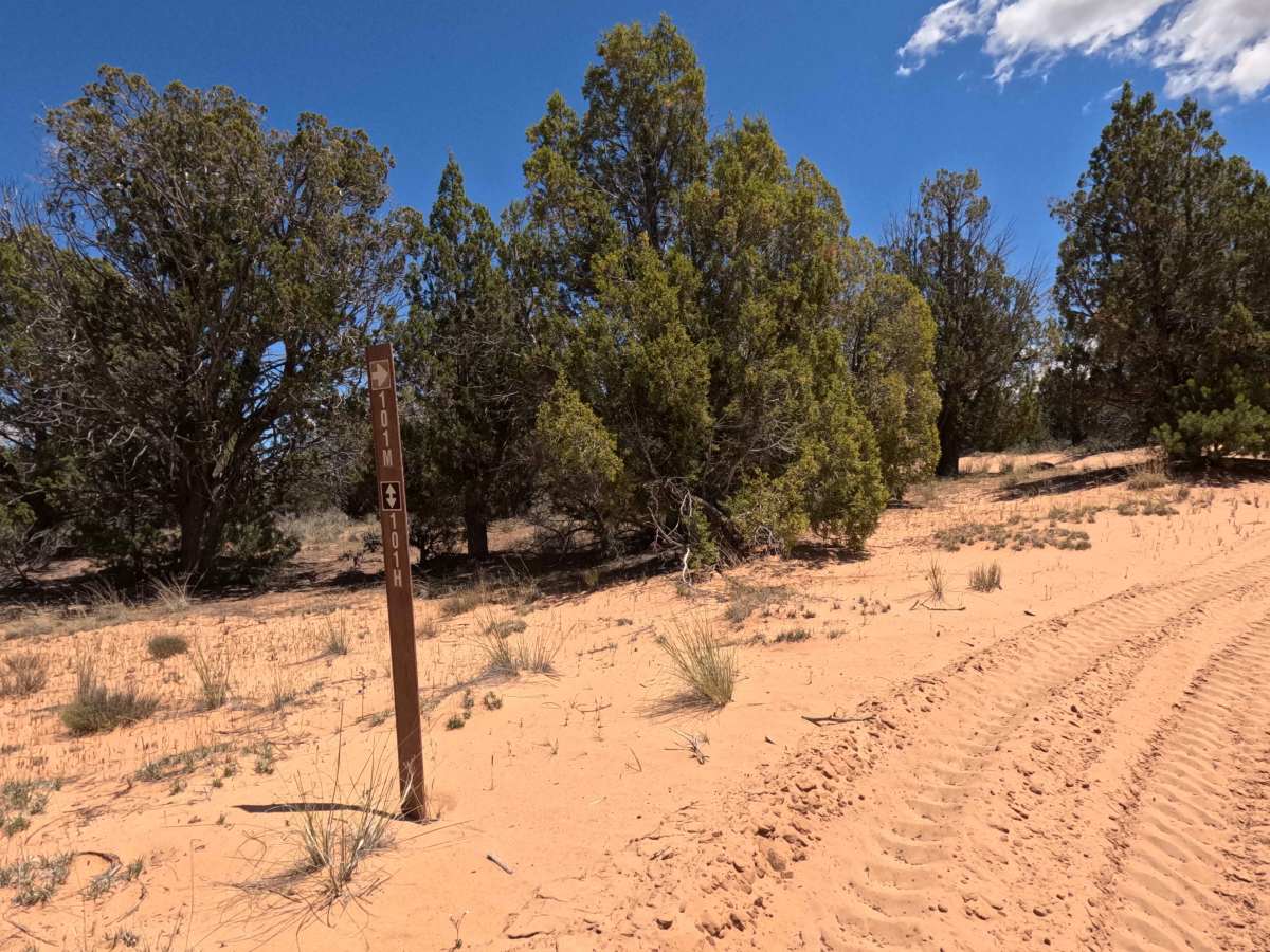 BLM 101M photo 3